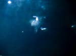 Geist_Photo014