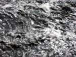 Geist_Photo019