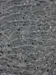 Geist_Photo001.jpg