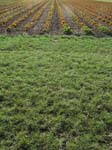Geist_Photo007