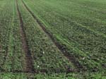 Geist_Photo040