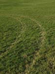 Geist_Photo041