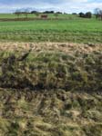 Geist_Photo042
