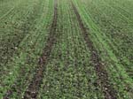 Geist_Photo051