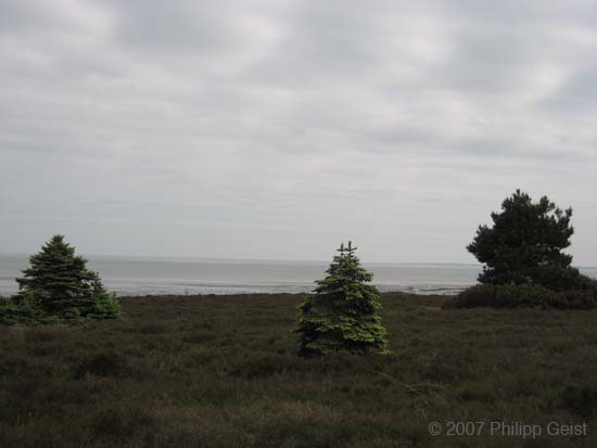IMG_9761.JPG