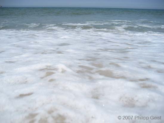 IMG_9911.JPG