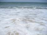 IMG_9911.JPG