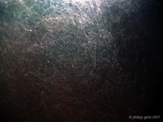Geist_Photo011