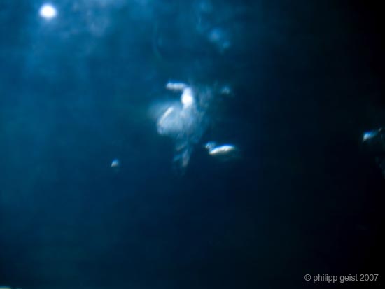 Geist_Photo014